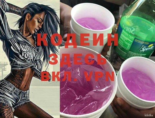 a pvp Няндома