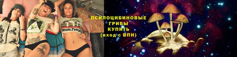 Галлюциногенные грибы GOLDEN TEACHER  где найти наркотики  Мамоново 