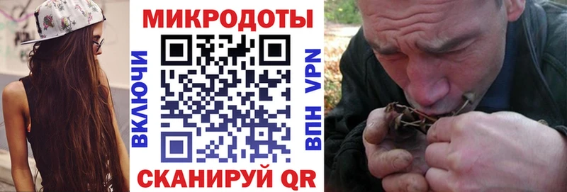 Псилоцибиновые грибы Psilocybe  Мамоново 